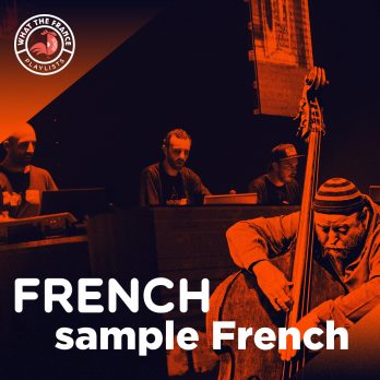 WTF—Cover-TheĚmes_french_sample_french