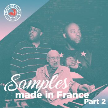 WTF—Cover-TheĚmes_samples_part2