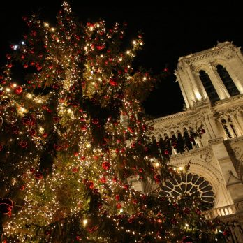 2071692715_1d8aafc1f6_o