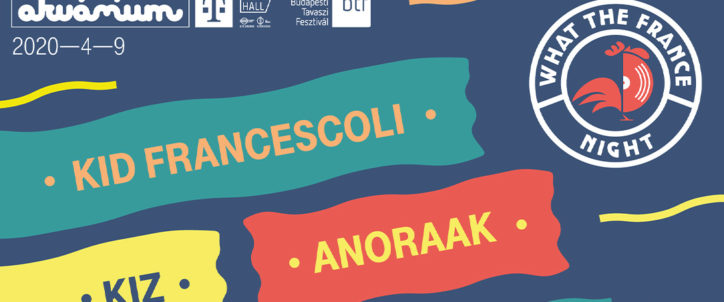 what_the_france_night_budapest