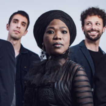 moonlightbenjamin_WordPress