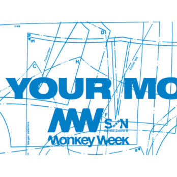 monkey_week_what_the_france