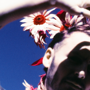 BenHoward_what_the_france