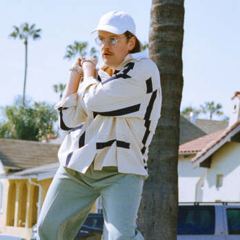 Covers WTF – WordPress