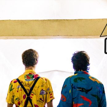 macadam_crocodile_whatthefrance