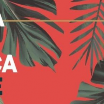 fiesta-de-la_música_verde_2_what_the_france