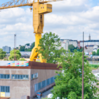 not_cut_what_the_france