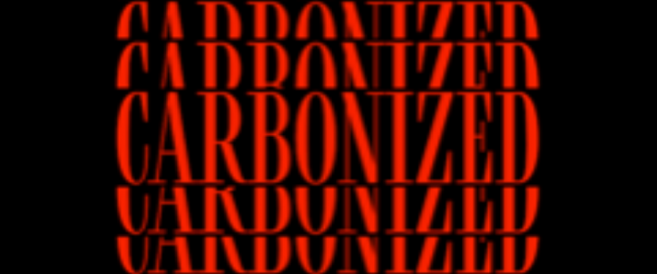 vitalic_carbonized_what_the_france