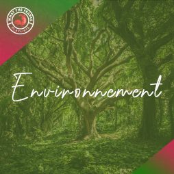 WTF – Pochettes_pedagogie_environnement copie