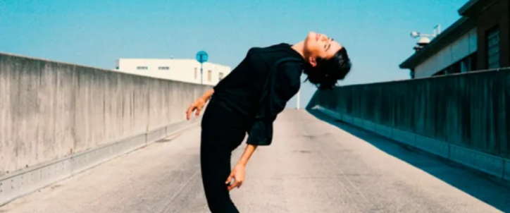 Françoiz-breut_what_the_france-2