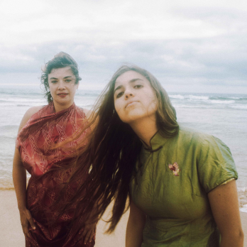 Birds_on_a_wire_what_the_france