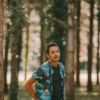 Les Gordon_what_the_france