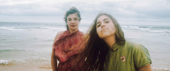 birds_on_a_wire_what_the_france_cover