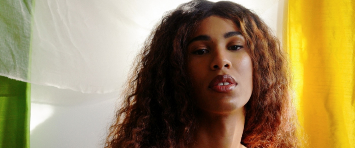 zimmer_what_the_france (1)