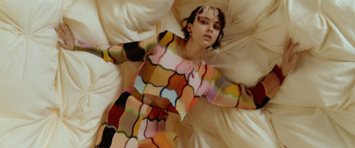 pomme_cover_wordpress