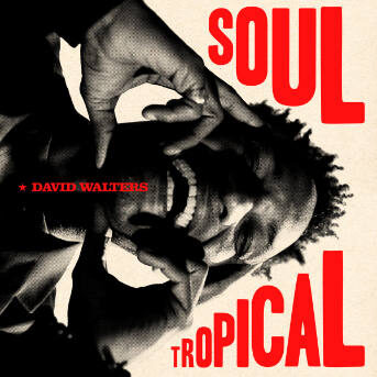 david-walters-soul-tropical-gs-343×343