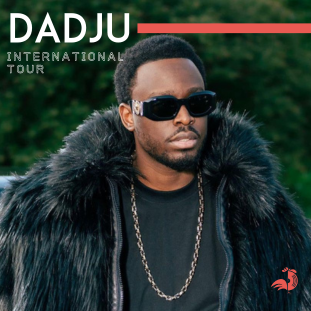 dadju_thumbnail_what_the_france