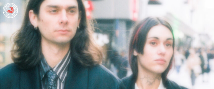 agar_agar_wordpress_what_the_france