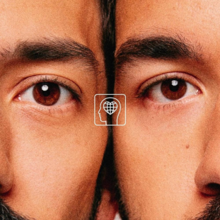 bigfloetoli_thumbnail_what_the_france