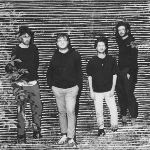 glauque_jeunesse_wordpress_what_the_france