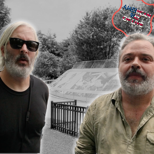 braxe_falcon__wordpress_what_the_france