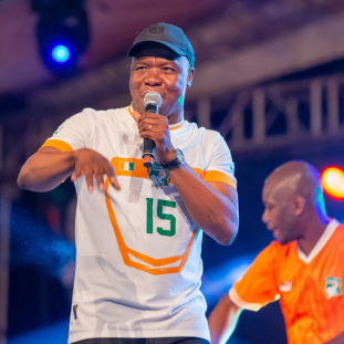 a_salfo_thumbnail_wordpress_what_the_france