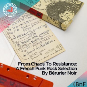 WTF—Cover-Themes_from_chaos_to_resistance_a_french_punk_rock_selection_by_bérurier_noir V2
