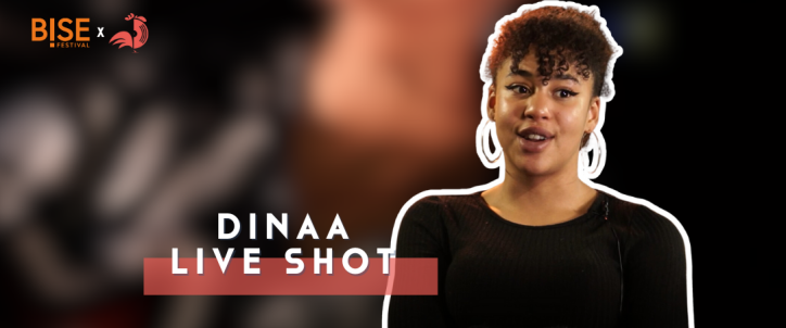 live_shot_dinaa_wordpress_what_the_france