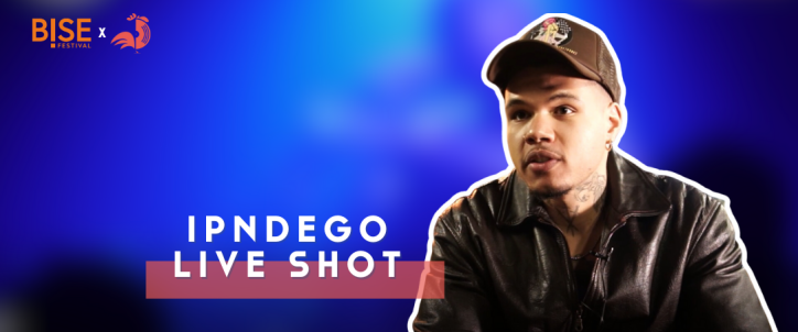 live_shot_ipndego_wordpress_what_the_france