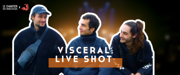 cover_wordpress_visceral