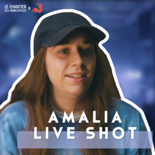 _thumbnail_wordpress_amalialiveshot 311