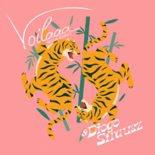 voilaaa_thumbnail_wordpress_what_the_france