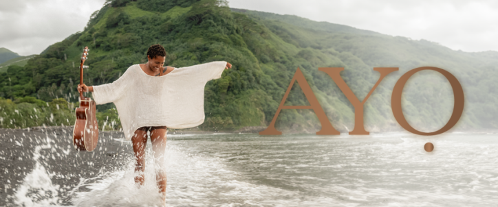 Ayo_cover_wordpress_what_the_france