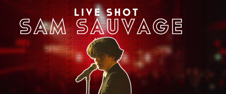 Franco_SamSauvage_CouvWordPress