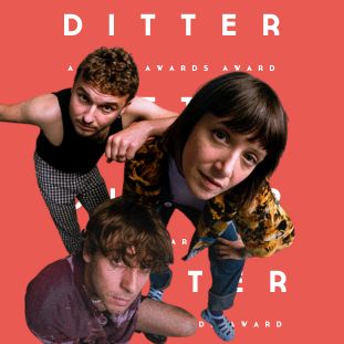 article-bDITTER-2025